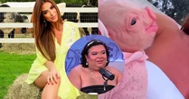 Nicole Bahls viraliza ao mostrar 'bebê reborn suína' vestida como gente: 'Homenagem à Rainha Mattos'