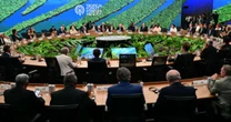 Fundo de florestas terá conta em Luxemburgo e espera chegar a US$ 10 bilhões até o final do ano