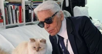 Herança bloqueada: gata de Karl Lagerfeld, Choupette, hoje com 14 anos, ainda não recebeu fortuna bilionária do estilista; R$ 8,7 milhões não foram pagos e pet troca mansão por apartamento em Paris