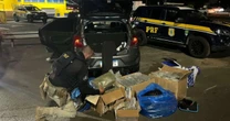 Homem é preso com cerca de 40 quilos de skunk em Porto Alegre