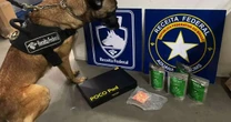 Operação em Porto Alegre apreende R$ 100 mil em drogas, anabolizantes e cigarros eletrônicos no aeroporto e Correios