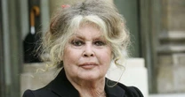 Qual é o estado de saúde de Brigitte Bardot, de 91 anos? Ícone do cinema francês foi operada às pressas: 'Doença grave'