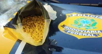 Mulher é presa com quase mil comprimidos de ecstasy em Bento Gonçalves