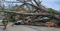 Árvore cai sobre carro na zona sul de SP e vítima é socorrida em estado grave