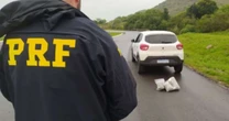 Casal é preso com mais de dois quilos de skunk em Caçapava do Sul