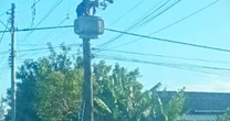 Homem é flagrado em cima de transformador de poste furtando cabos e retorna horas depois para tentar novamente