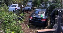 Sítio era usado como depósito de carros roubados; Polícia Civil recupera 10 veículos no RS