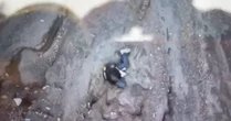Brasileira cai em vulcão durante trilha na Indonésia