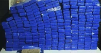 Cachoeirinha: Polícia descobre esconderijo e apreende 223 tijolos de maconha