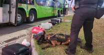 Trio é preso durante treinamento de cães farejadores na Freeway