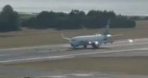 Avião bate em grupo de veados ao pousar e danifica trem de pouso no Alasca
