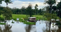 Amazônia: a equação delicada entre preservação e combate à pobreza