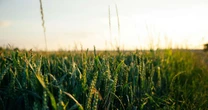 Tecnologia inova o campo e agronegócio em 2025