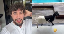 Nattan se desculpa com vizinhos após levar carneiro para casa após show: 'Muito alto'