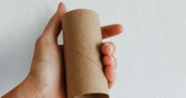 Guarde seus rolos de papel higiênico e descubra como eles podem se transformar