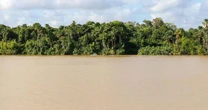 Sede da COP30, Brasil 'sabota' o evento ao apostar em petróleo na Amazônia e põe em risco líderança climática