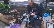 Ator de famosa novela exibida no SBT vive em situação de rua com gatos e cachorro