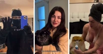 De malhação a inalação em cachorro: veja como famosos estão lidando com a onda de frio