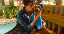 'Caramelo', filme com Rafa Vitti e o astro canino Amendoim, ganha trailer; assista