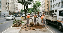 Prefeitura de Chapecó substitui árvores com risco de queda em avenida