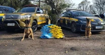 PRF e Brigada Militar apreendem carga milionária de cocaína no RS