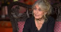 Aos 90, Brigitte Bardot ressurge na TV após uma década isolada: "Minha última luta"