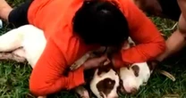 Professor de Muay Thai se salva de ataque de pitbulls após imobilizá-los: 'Vi a minha vida passar'