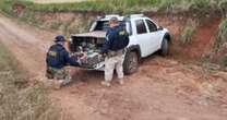 Trio é preso com mais de 350 quilos de maconha no Norte do RS