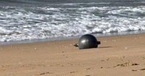 Agência espacial australiana encontra a 'fonte provável' das misteriosas bolas espaciais