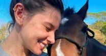 Homem é denunciado por Ana Castela após mutilar cavalo em SP: 'Verme'