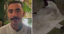 Influenciador que 'avistou' OVNI encontra animais mortos em sua fazenda: 'Não tem explicação'