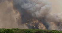 'Nuvem de fogo': entenda o fenômeno raro que acelerou a propagação dos incêndios em Bordeaux