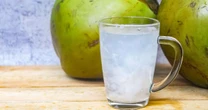 Água de coco ganha espaço no consumo saudável no Brasil
