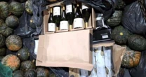 Carga milionária de vinhos é descoberta sob carregamento de abóboras na BR-116