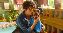 Quando estreia 'Caramelo', filme com vira-lata símbolo do Brasil, no streaming?
