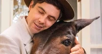 Do macaco pintor ao burro fofoqueiro: 6 amigos mais improváveis (e divertidos) das novelas brasileiras que valem mais do que muitos humanos