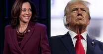 Donald Trump ou Kamala Harris? De Beyoncé e Taylor Swift a Elon Musk, veja em qual candidato famosos dos EUA já declararam voto