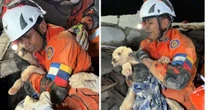 Cachorrinha é resgatada com vida 5 dias após terremotos devastarem a Venezuela