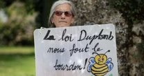 Lei Duplomb e Lei da Devastação: França e Brasil no caminho do retrocesso ambiental
