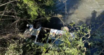 Kombi que levava crianças e mulher grávida capota e cai em rio de Santa Catarina