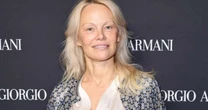 Depois de estrelar uma das comédias mais engraçadas do ano, Pamela Anderson já tem em vista o seu próximo trabalho