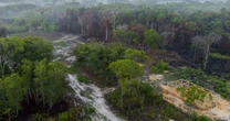 Incêndios na Amazônia comprometem qualidade do ar em outros países, aponta relatório
