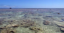 Recorde de calor nos oceanos em junho pode se repetir nos próximos meses, alerta Copernicus