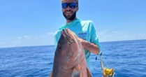 Pescador é preso após esfaquear tubarão que "roubou seu peixe"