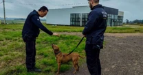 Curso promovido pela Polícia Penal capacita servidores de abrigo de animais no RS