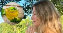 Uma xícara por dia alivia gases, inchaço e acalma: chá queridinho de Gisele Bündchen é fácil de fazer e tem inúmeros benefícios para a saúde