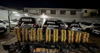 Polícia Civil apreende mais de uma tonelada de maconha em menos de 12 horas no RS