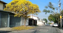 Primavera deve ter temperaturas acima da média em parte do País e risco de baixa umidade