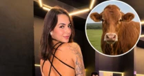 Influenciadora afirma usar testículos bovinos em shakes pós-treino: "Achei estranho no começo"