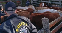 Operação Pampa expõe esquema clandestino de carne no RS
